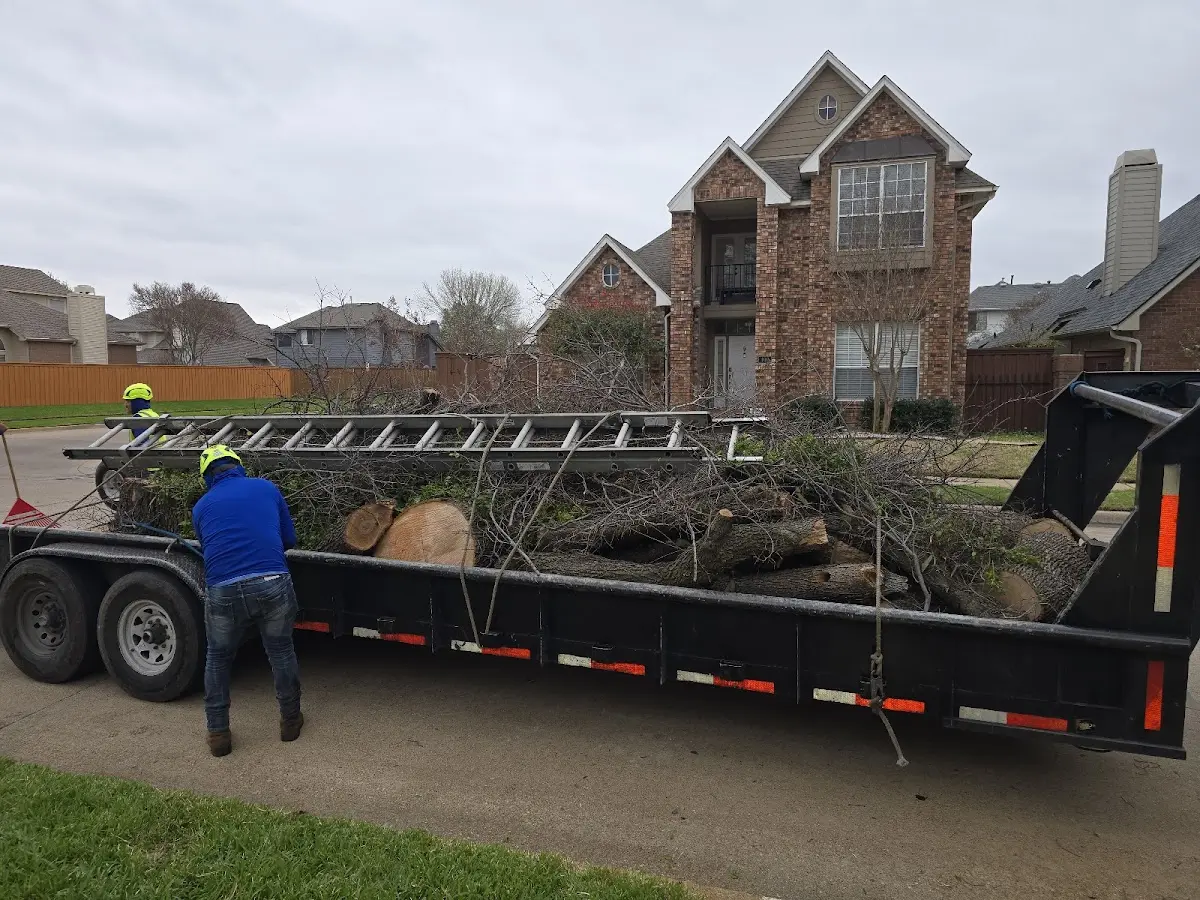 Expert Lot Clearing with proper safety equipment in Humboldt